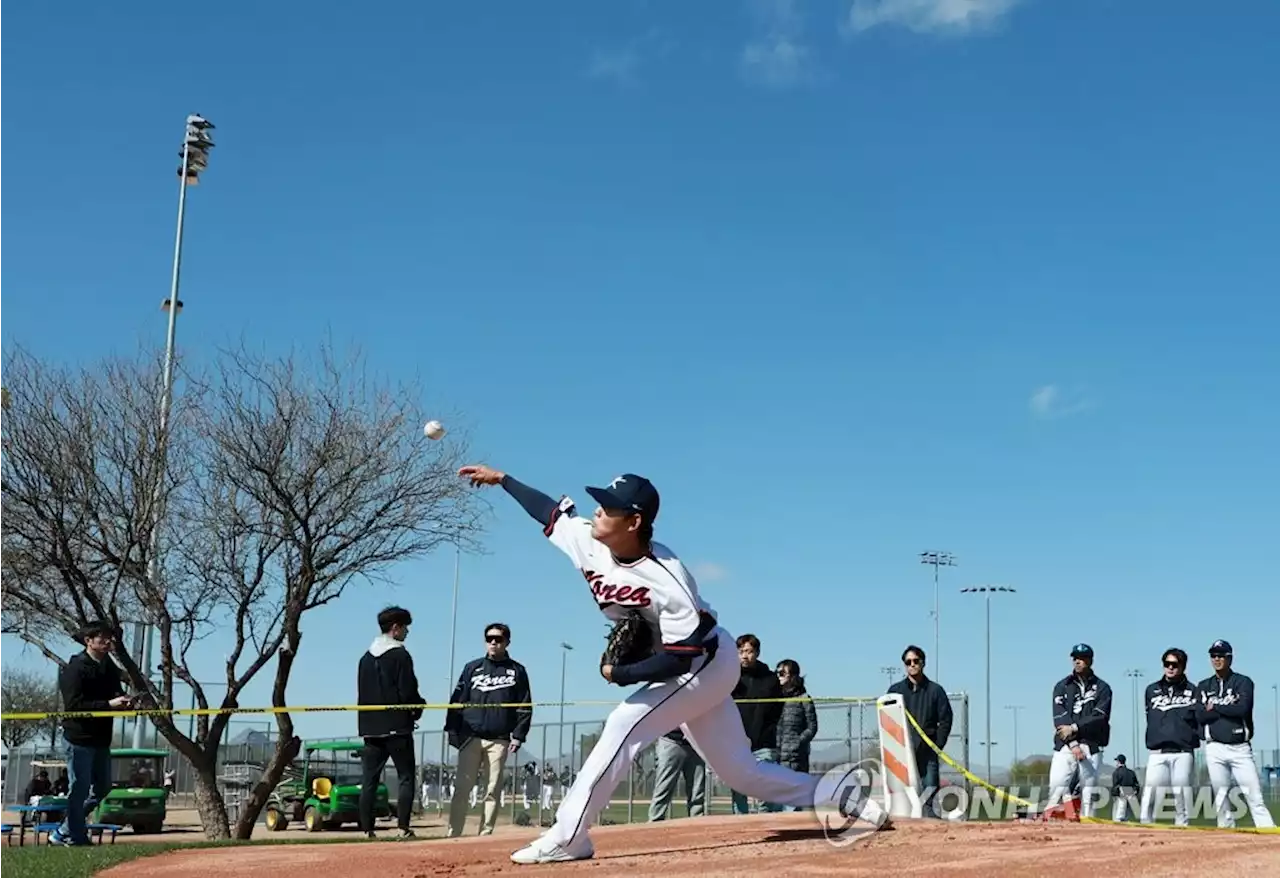 [WBC 캠프] 한국 4강 가면 최대 상금 150만달러+포상금 3억원 '돈방석' | 연합뉴스