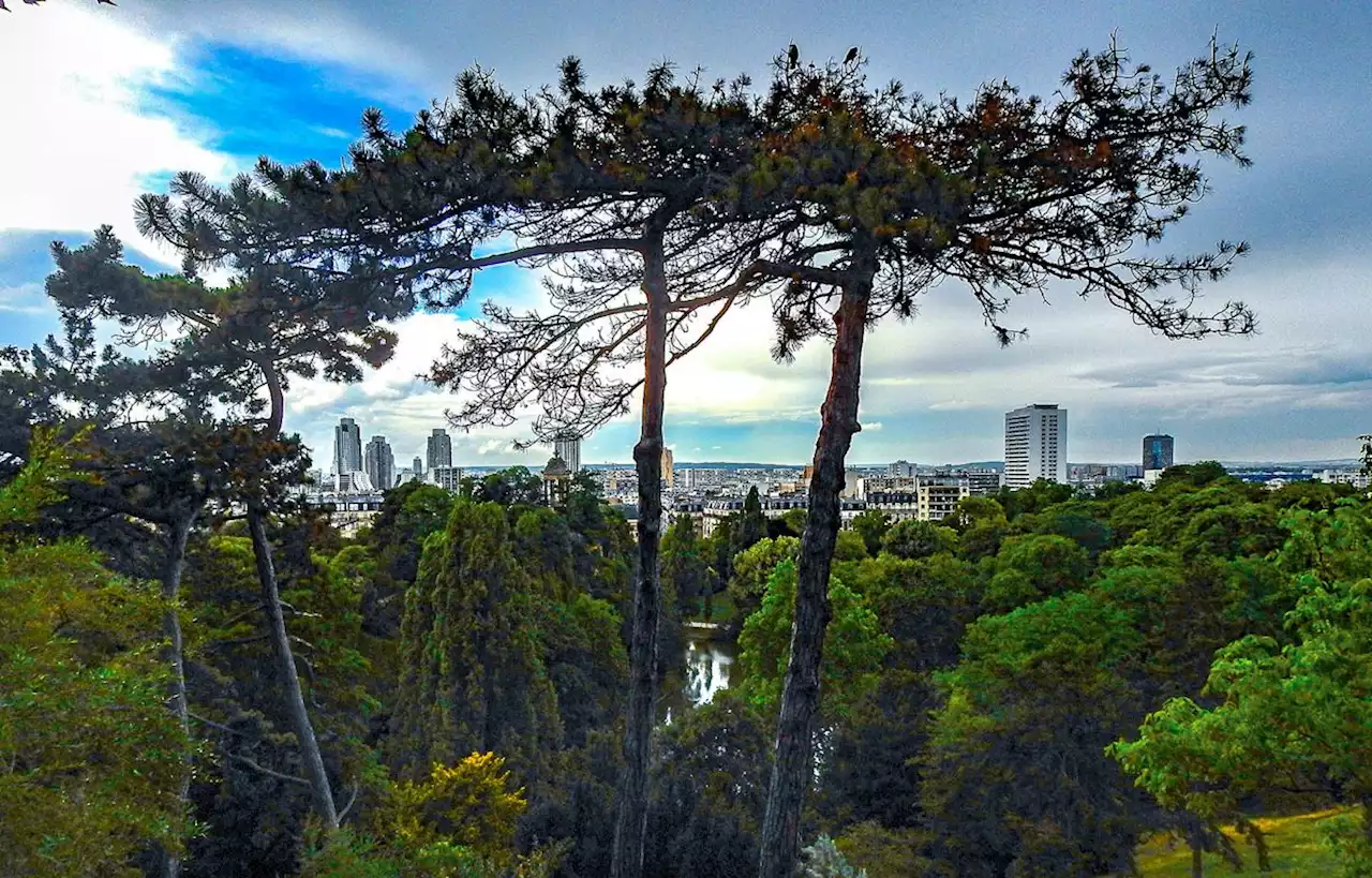 Le mari de la femme trouvée aux Buttes-Chaumont face à ses incohérences