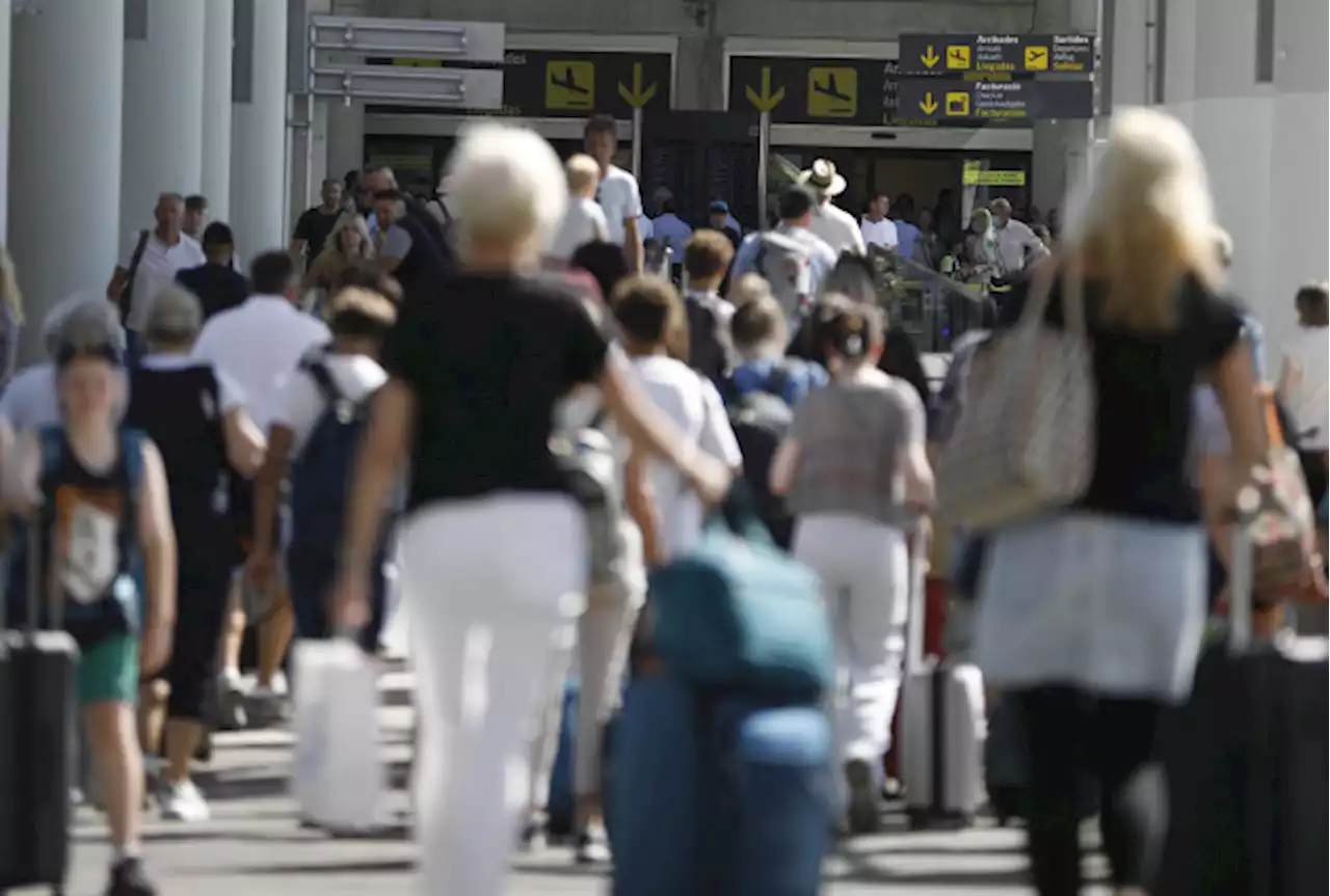 Verkehr & Statistik - Icao-Gewinnprognose, mehr DACH-Passagiere, starke Billig-Airlines