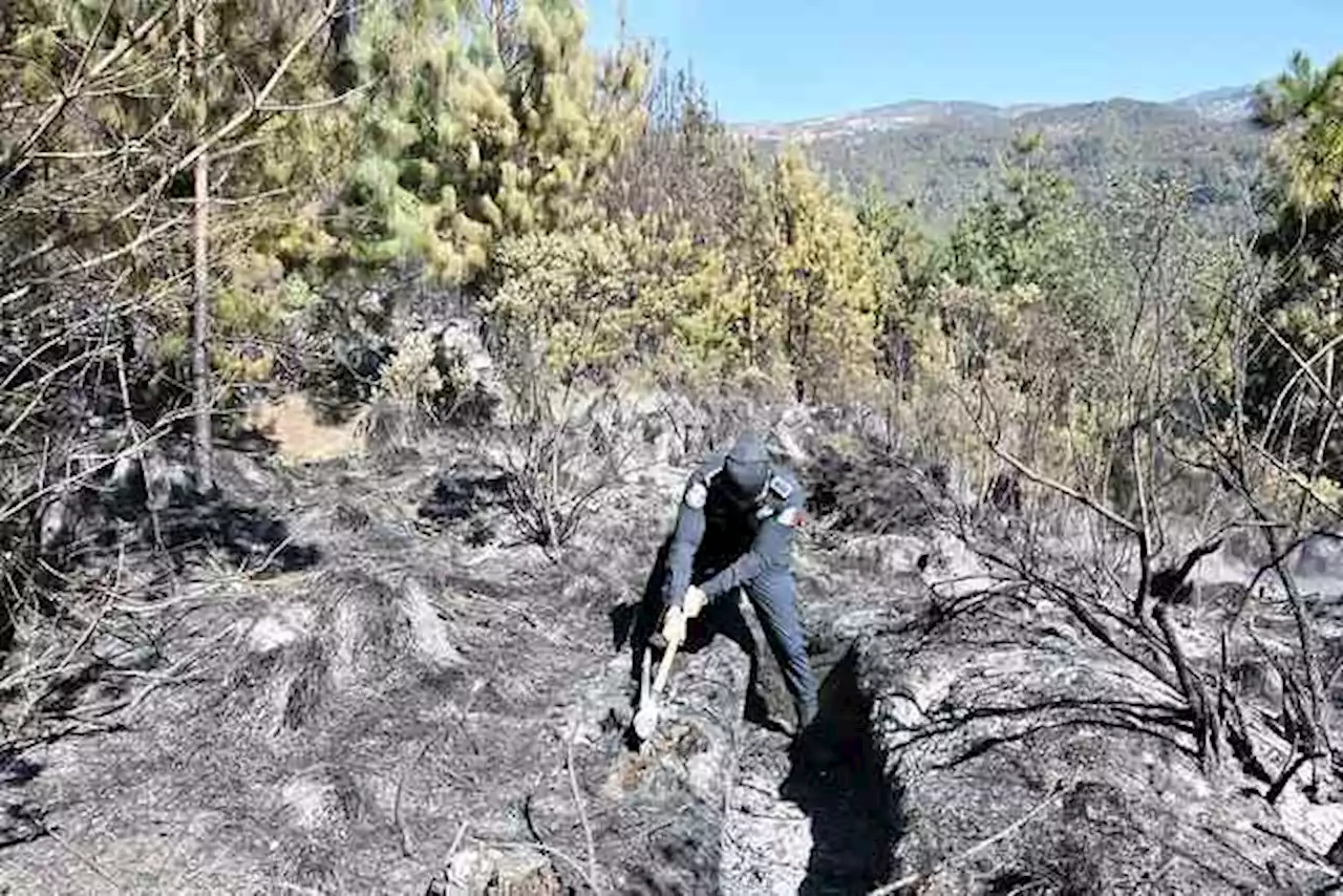 Avanza control de incendios forestales en el Cofre de Perote