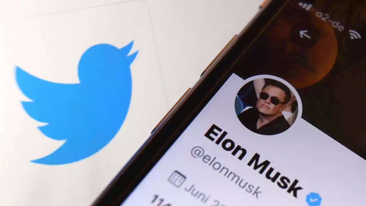 Twitter-Chef Elon Musk droht Ärger aus Bayern