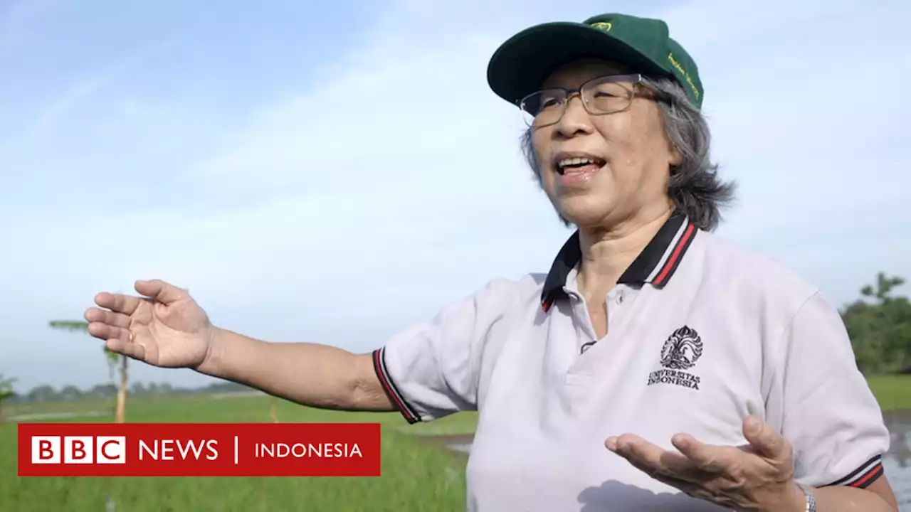 ‘Ibu para petani’, melahirkan generasi petani-ilmuwan hadapi perubahan iklim di Indonesia - BBC News Indonesia