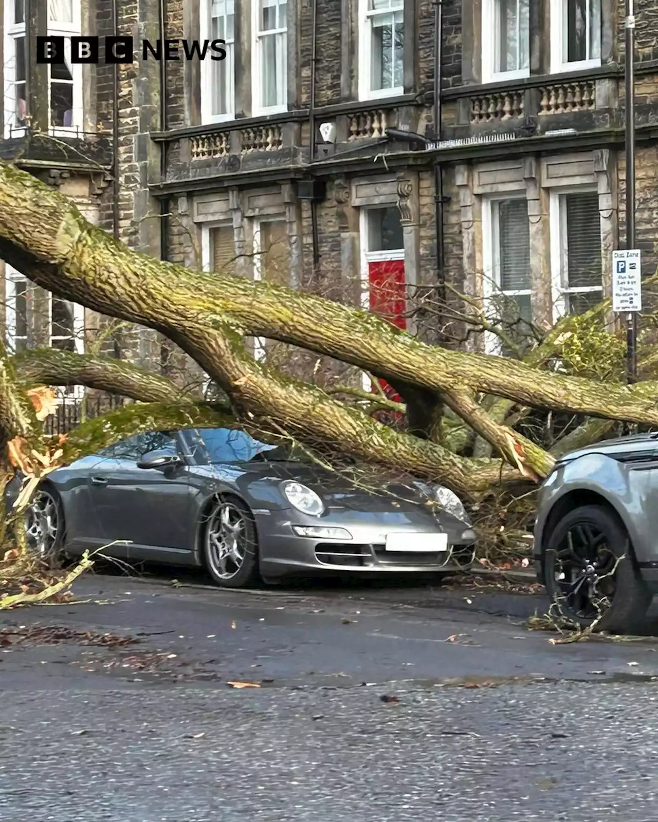 Storm Otto: Man seriously injured after tree fall in Sheffield