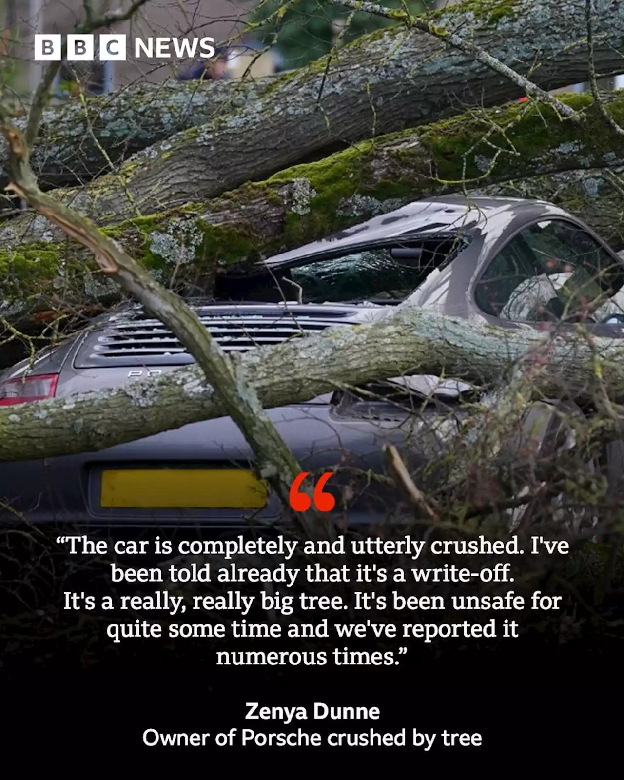 Storm Otto: Porsche damaged by tree for second time