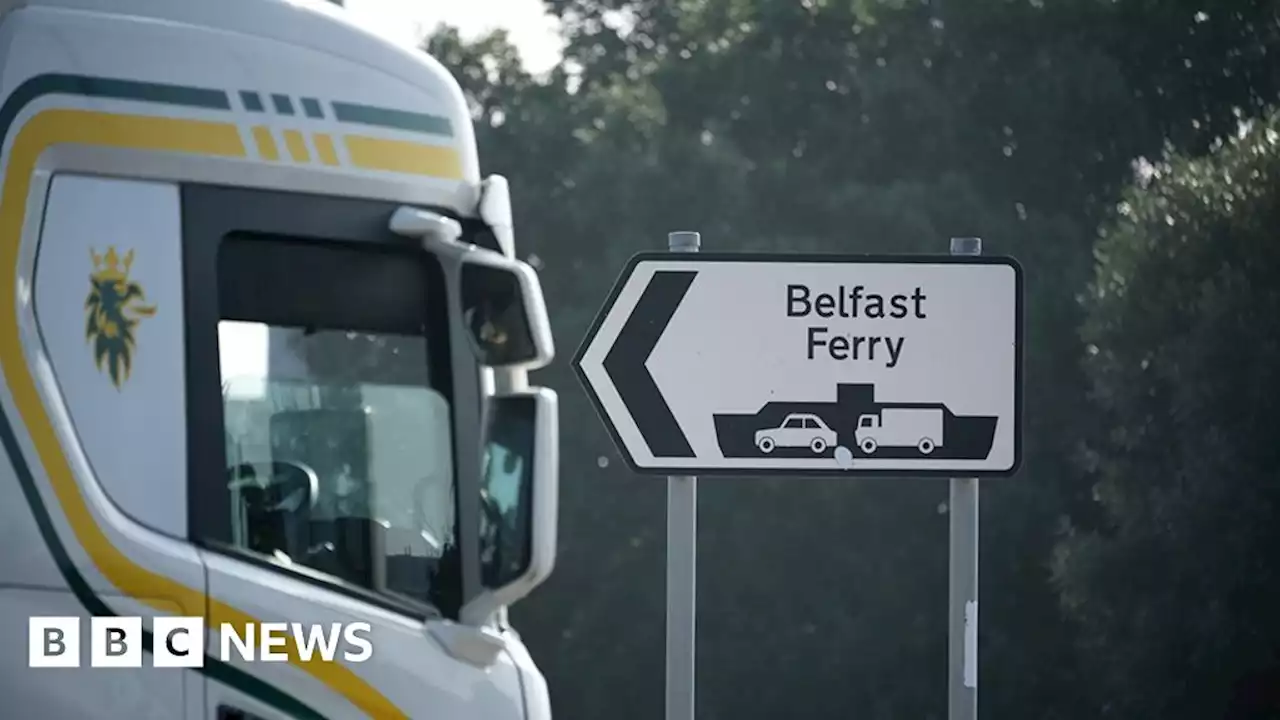 Brexit: What is the Northern Ireland Protocol?