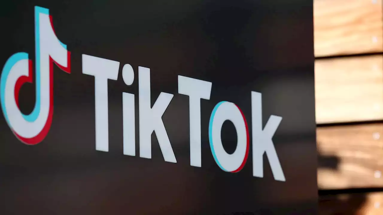 TikTok compte désormais 150 millions d'utilisateurs en Europe