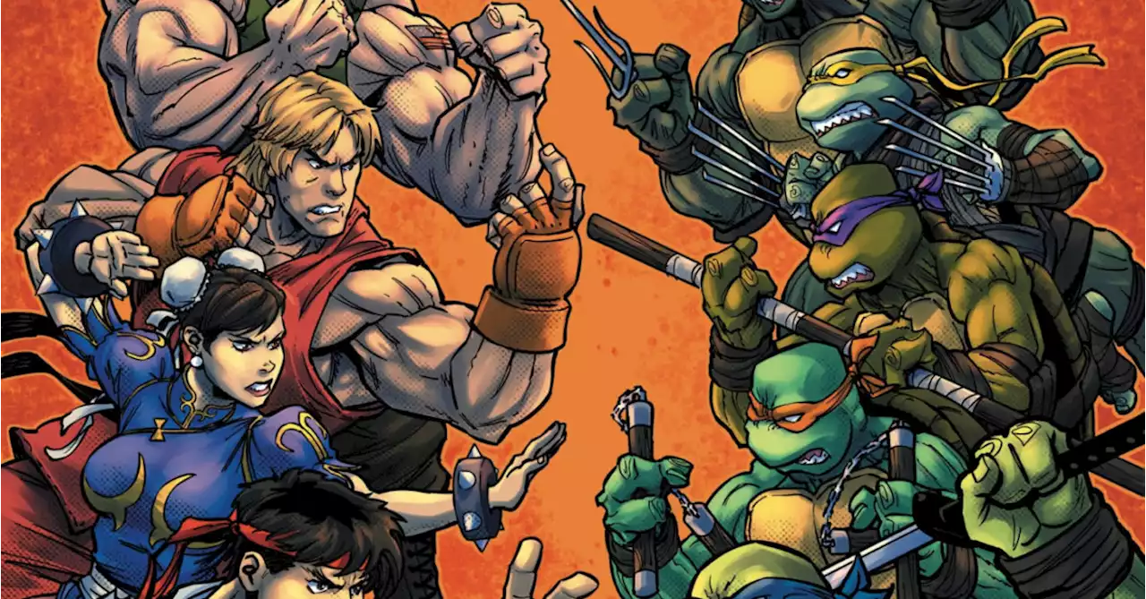 Teenage Mutant Ninja Turtles vs. Street Fighter in New Comic at IDW