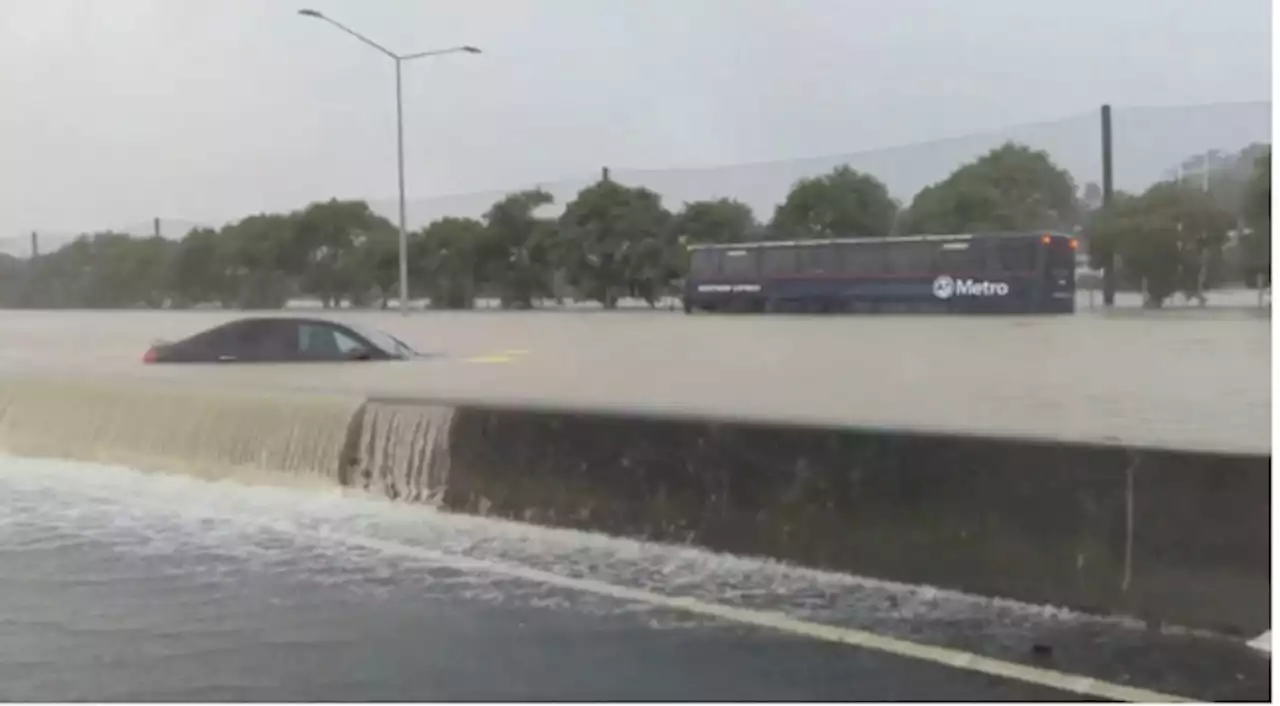 Cyclone in New Zealand leaves 7 dead, trail of chaos