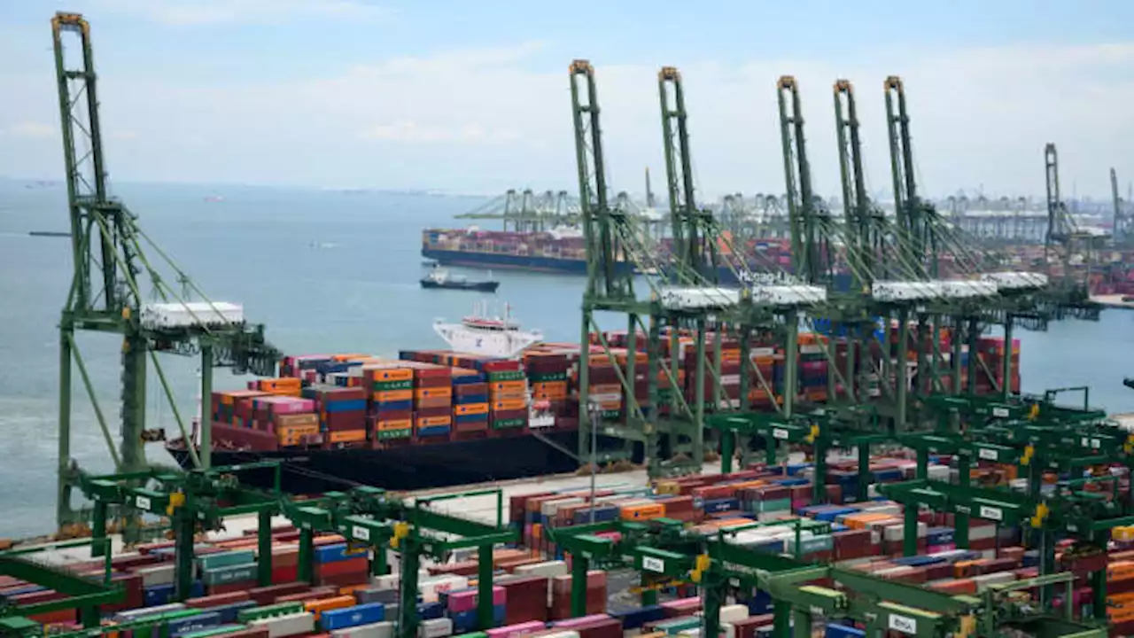 Singapore posts worst non-oil domestic exports in a decade