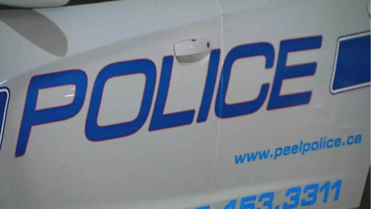 Mississauga couple out for a walk robbed, assaulted by man wielding golf club: police