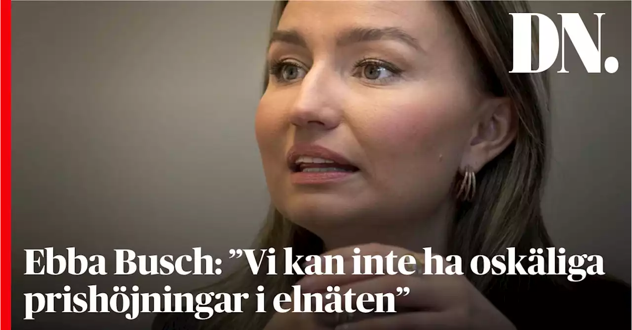 Ebba Busch: ”Vi kan inte ha oskäliga prishöjningar i elnäten”