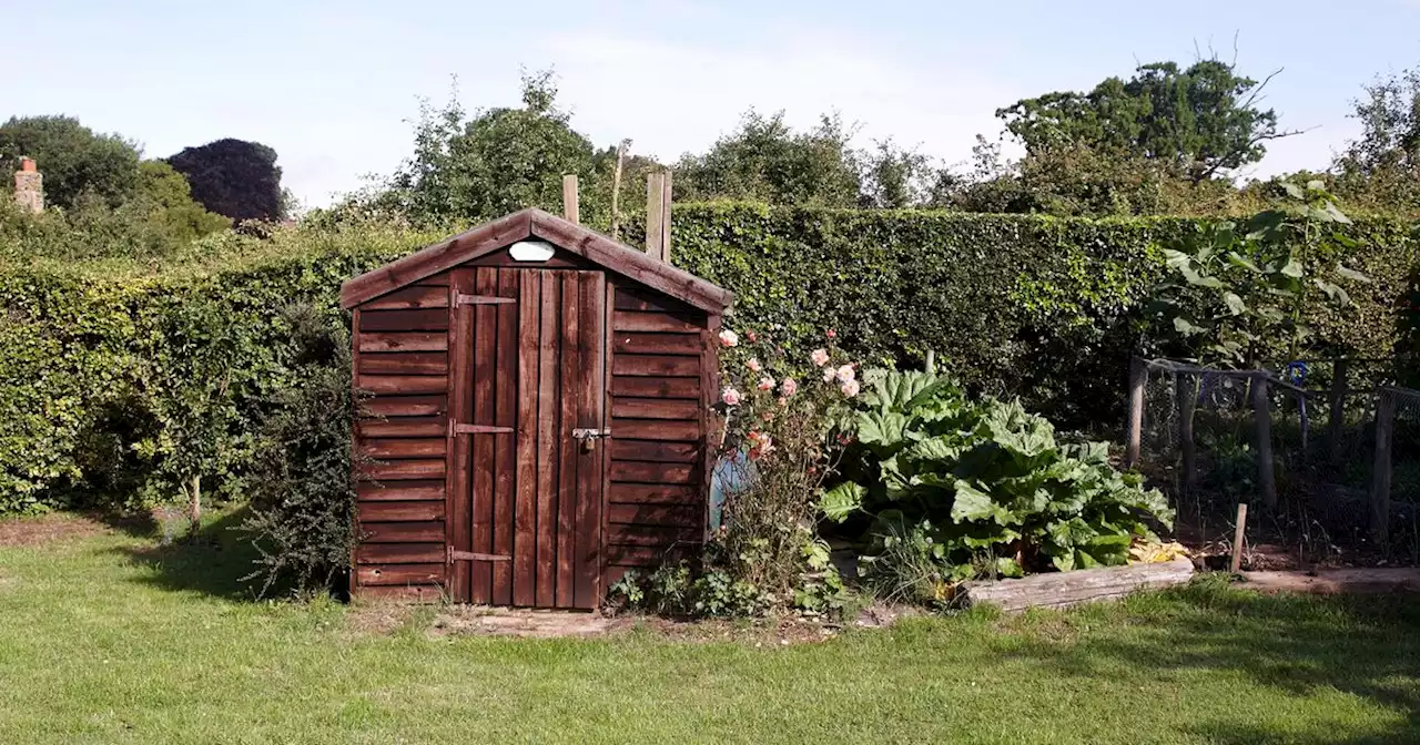 How to protect gardens from Storm Otto as experts warn how to prevent 'havoc'