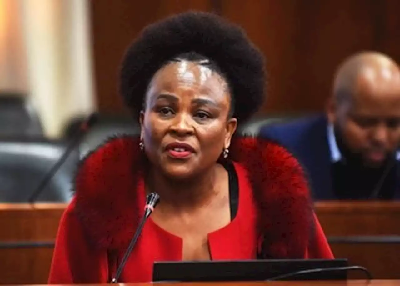 Section 194 enquiry committee adjourned after witness refuses to testify