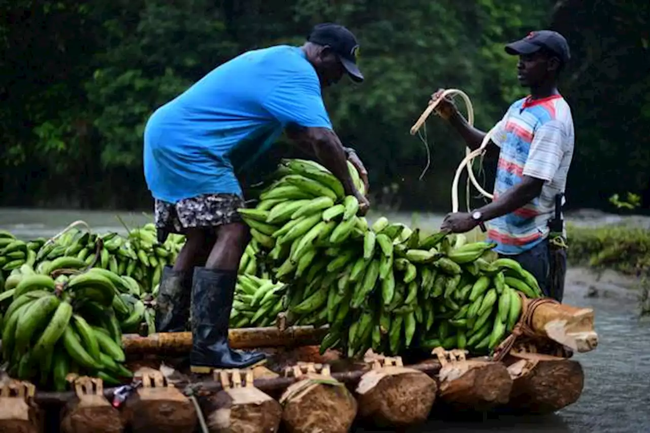 La colombiana IncluirTec recibe US$420.000 en inversión de Acumen y Usaid