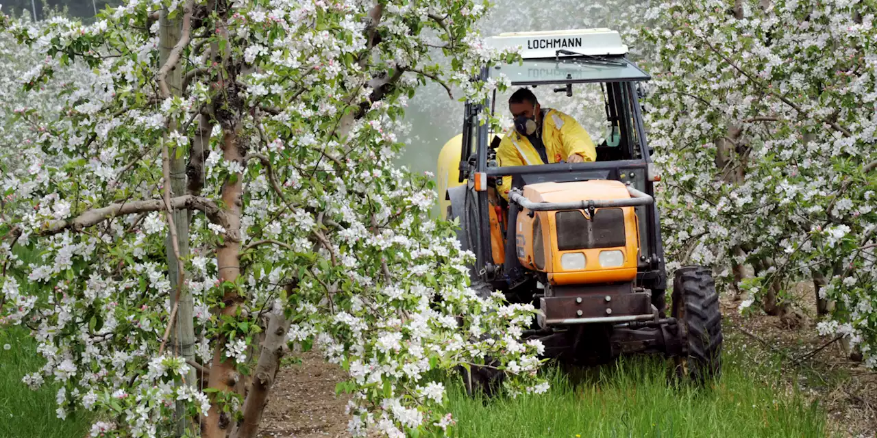 «D'ici 10 jours, il nous faut de la pluie» : la sécheresse hivernale inquiète les agriculteurs