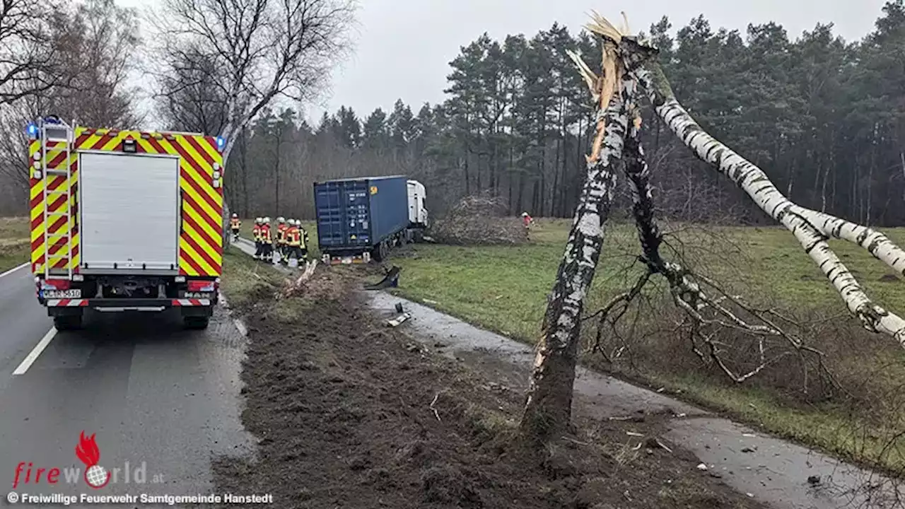 D: Lastwagen mit Überseecontainer kappt bei Hanstedt zwei Birken und schießt Baum 35 m ins Feld