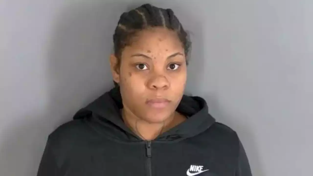 Michigan mom allegedly shoots woman pregnant by same man