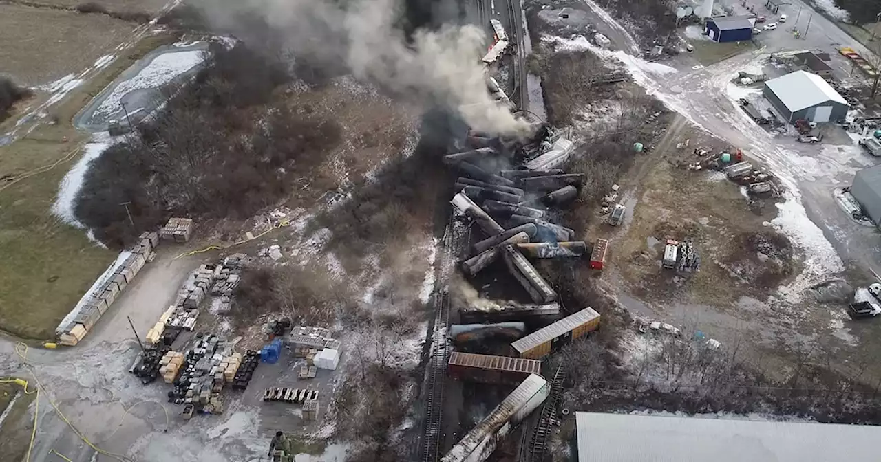 Officials Find Thousands of Dead Fish Near Toxic Train Crash in Ohio