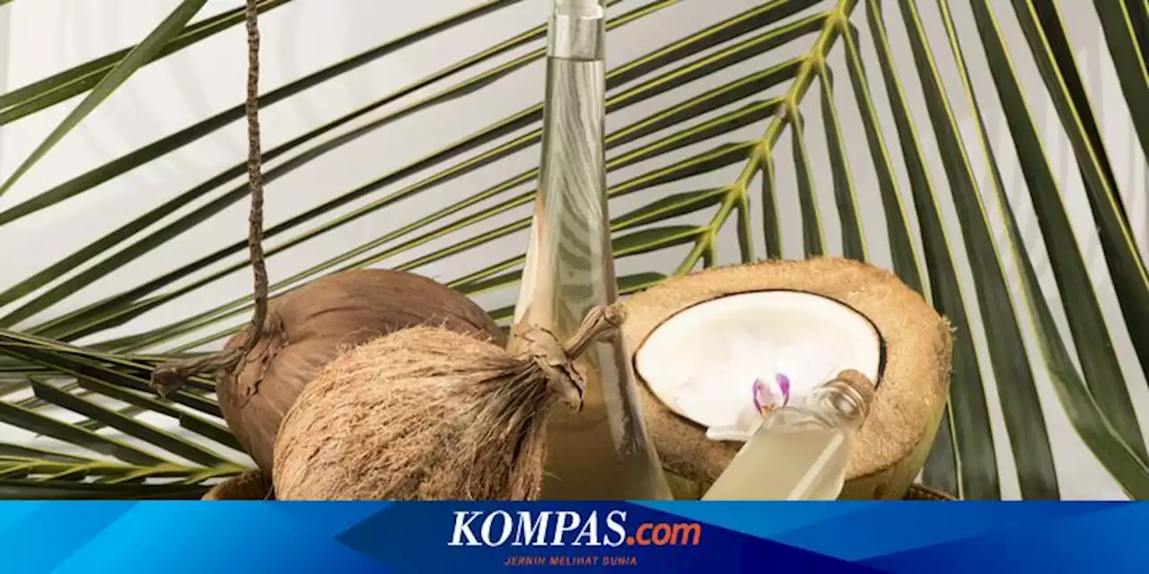 7 Manfaat Minyak Kelapa untuk Rumah, Rawat Kayu hingga Usir Nyamuk