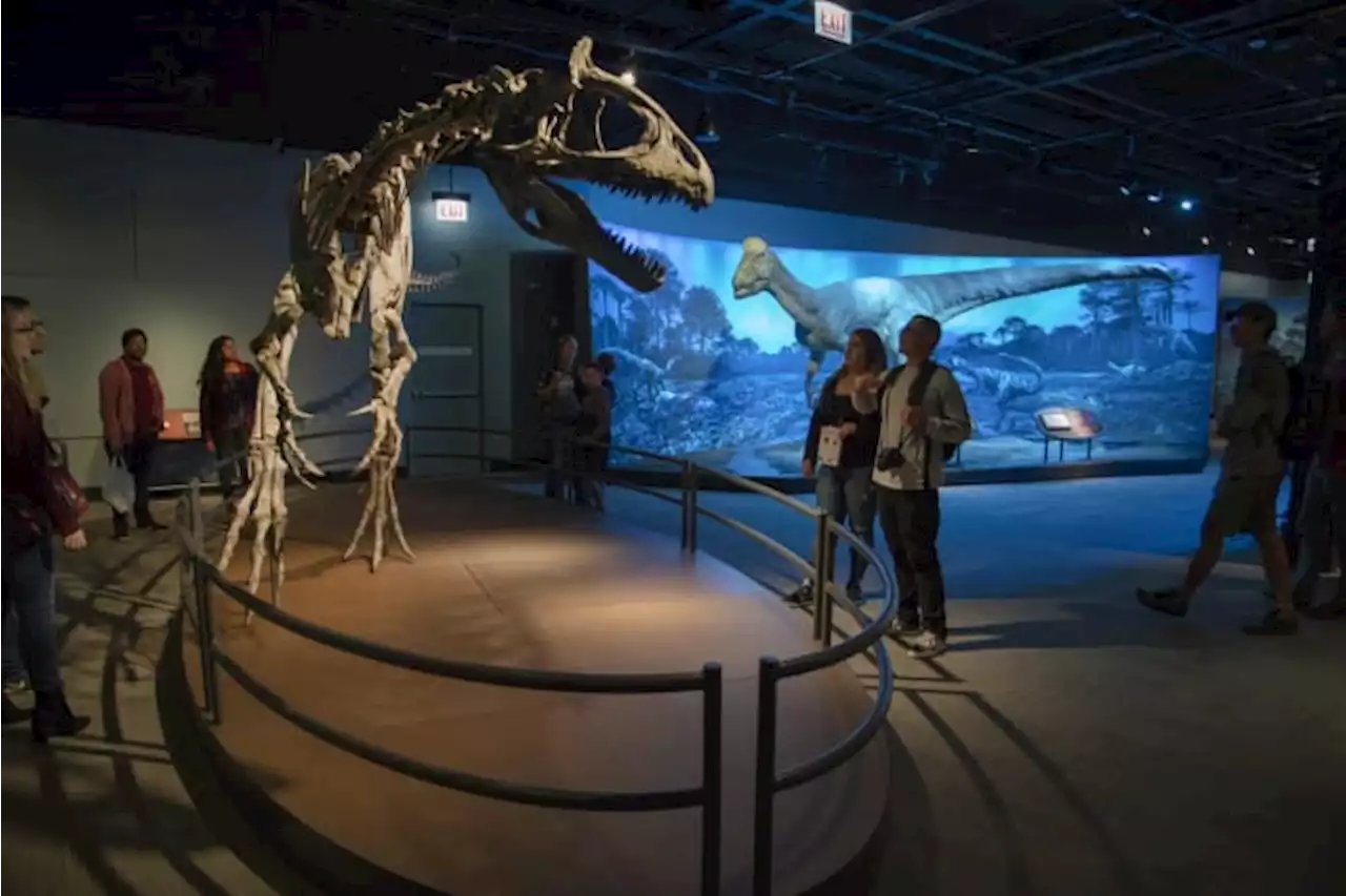 ‘Antarctic Dinosaurs’ exhibit will be on display at Witte Museum