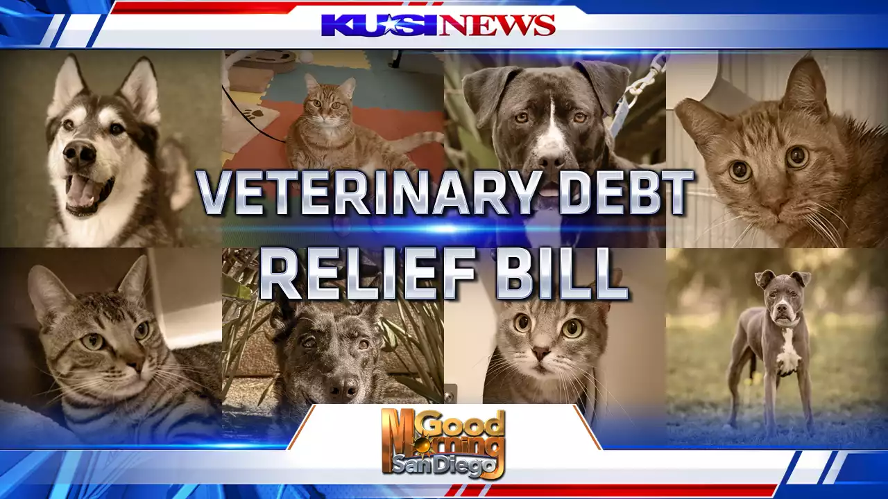 San Diego Humane Society and San Francisco SPCA Sponsor Veterinary Debt Relief Bill -