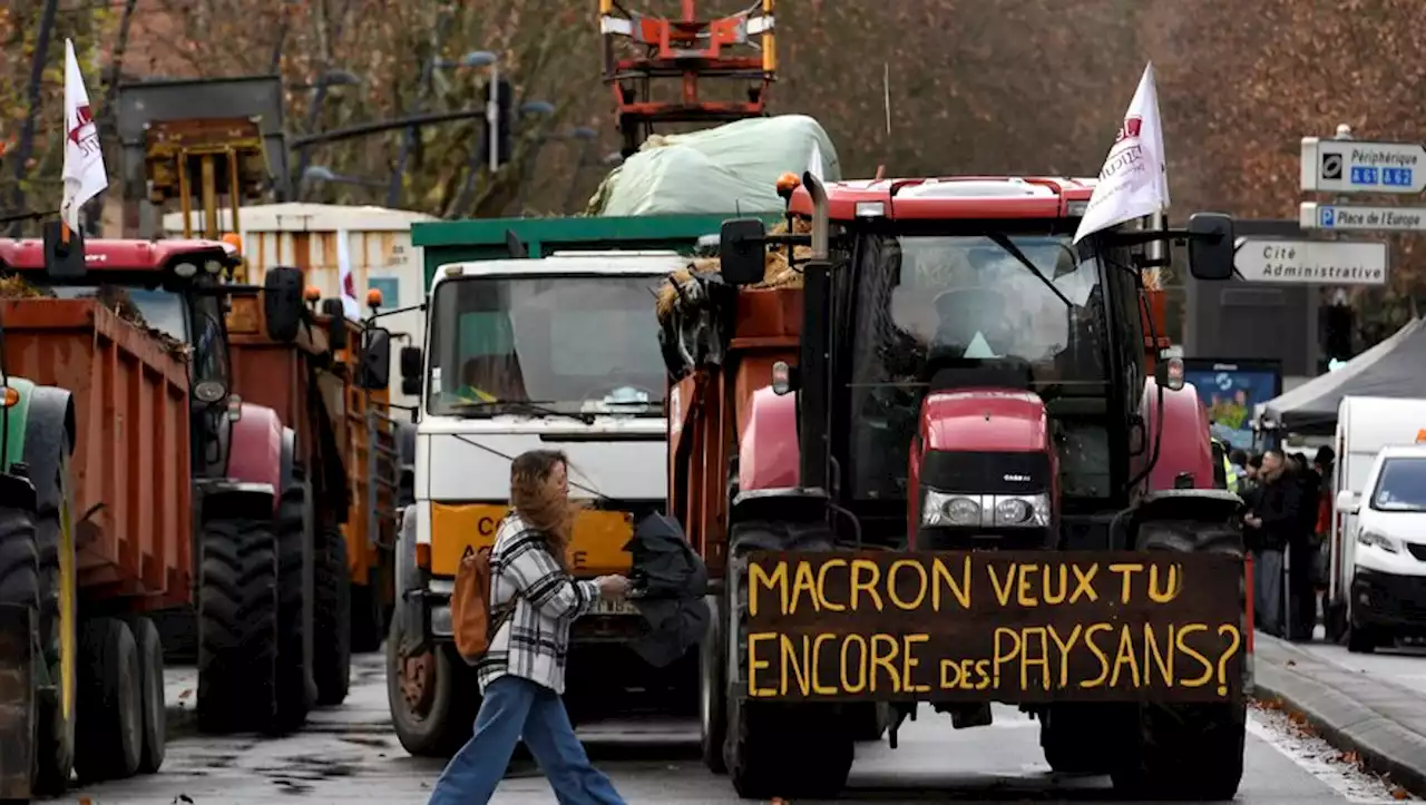 ENTRETIEN. Manifestations d'agriculteurs : 'Il y a un mépris du monde agricole depuis trop longtemps'