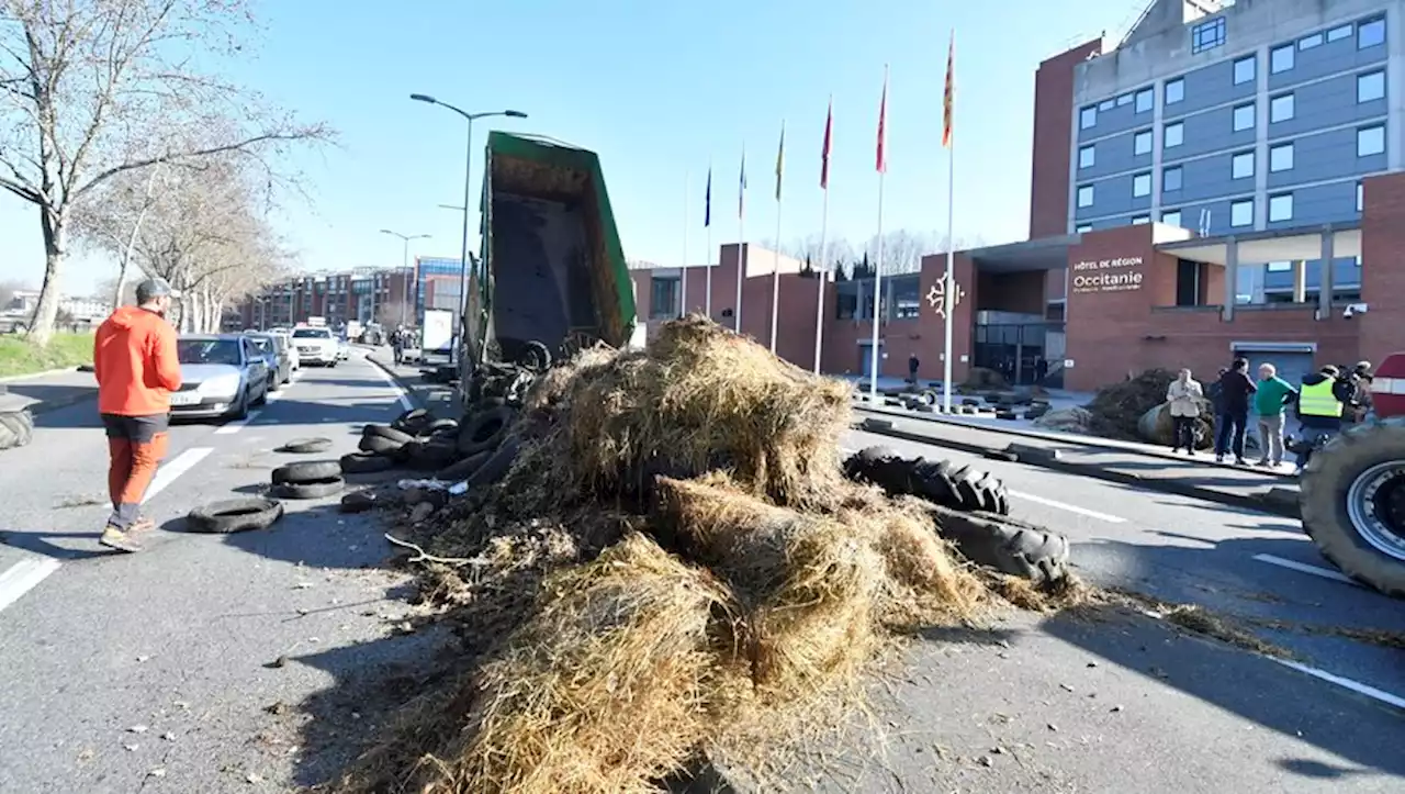 [VIDEO] VIDEO.Manifestation agricole à Toulouse : opération escargot et déversement de fumier devant le conseil régional