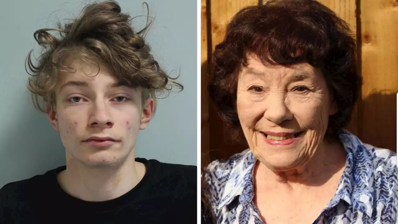 Teenager pair guilty of manslaughter over fatal firework dare which killed pensioner