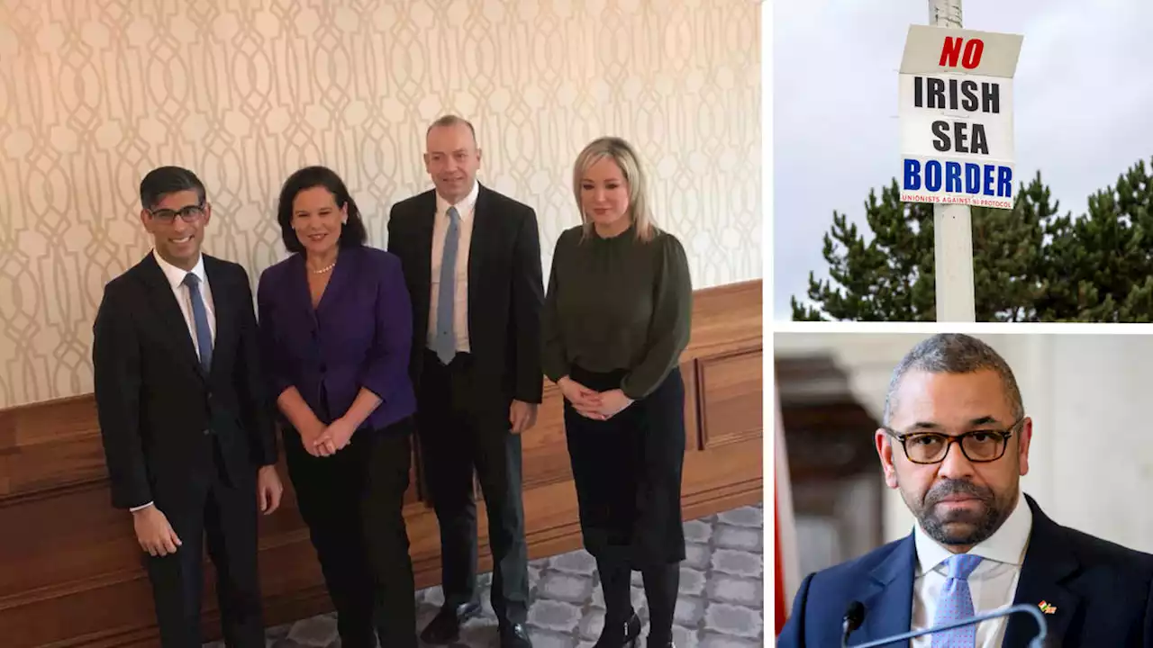 'Game on': Sinn Fein President hails 'significant progress' after Northern Ireland protocol talks with Sunak