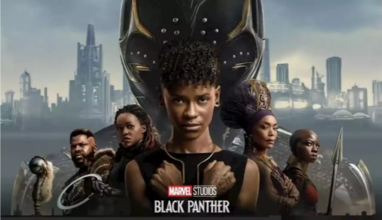 «Avec 'Wakanda Forever', Disney verse dans la propagande anti-française»