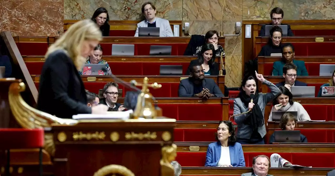 Réforme des retraites : les députés écologistes dénoncent un «raté stratégique de LFI»