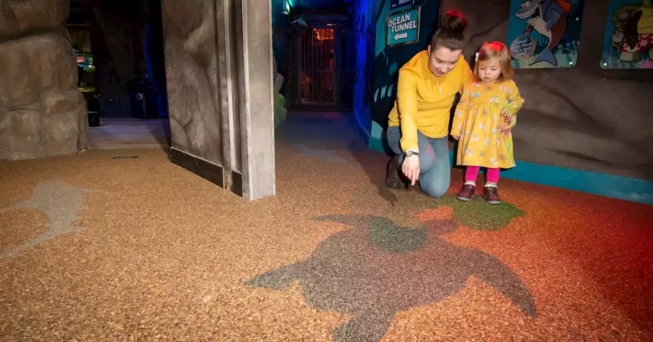 Blackpool SEALIFE installs new floor made of half a million plastic straws