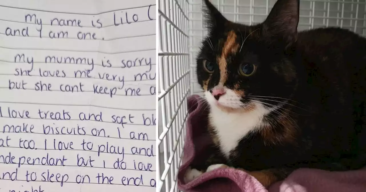 Cat found abandoned with ‘heart-breaking’ note from ‘sorry’ owner