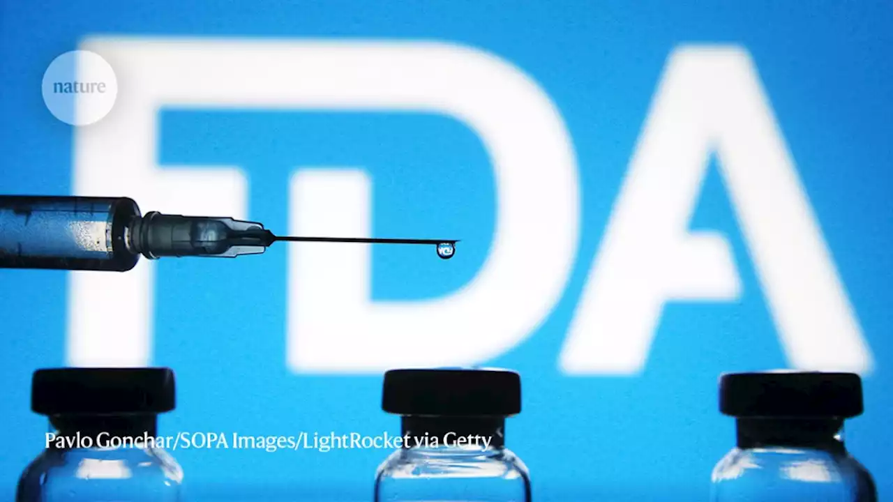 FDA to require diversity plan for clinical trials