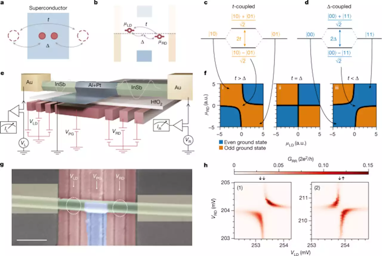 Realization of a minimal Kitaev chain in coupled quantum dots - Nature