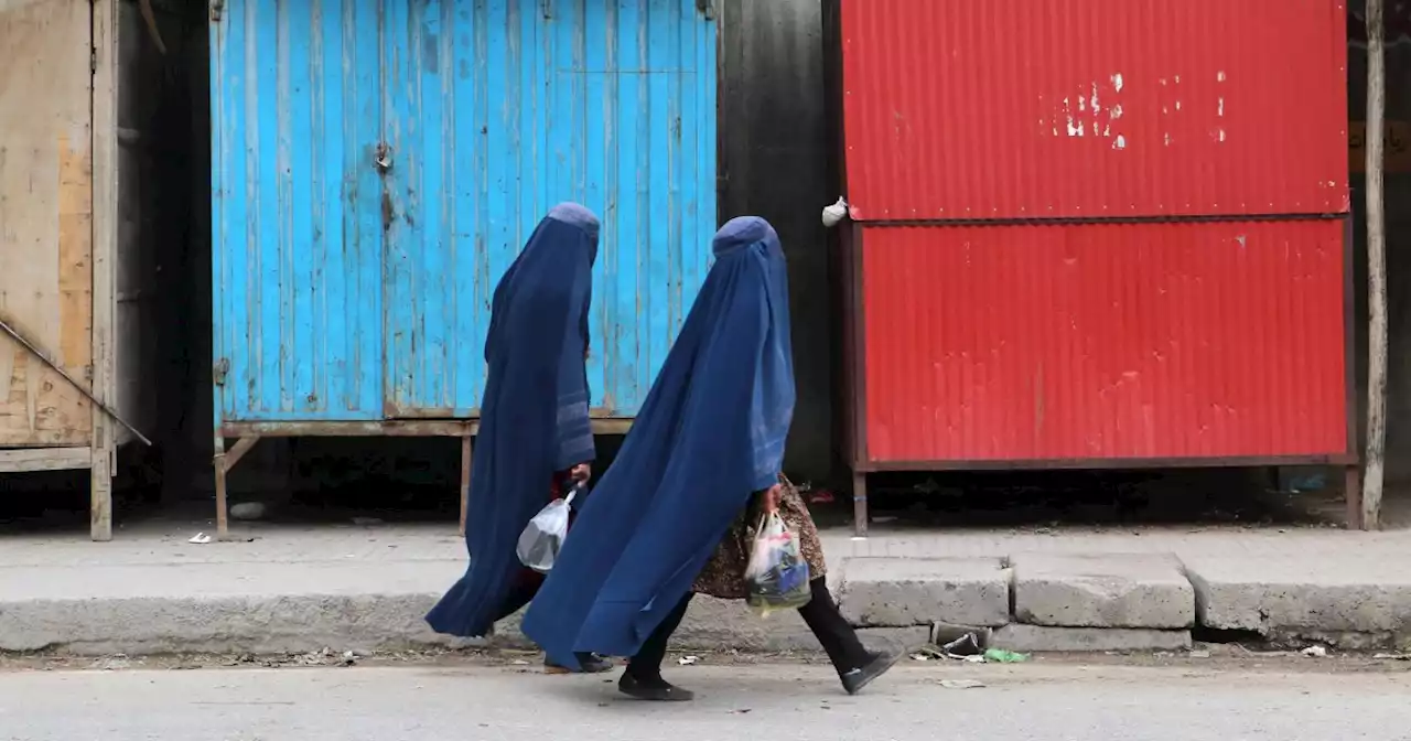 U.S. envoy apologizes for suggesting Afghan women may need 'Black Girl Magic'