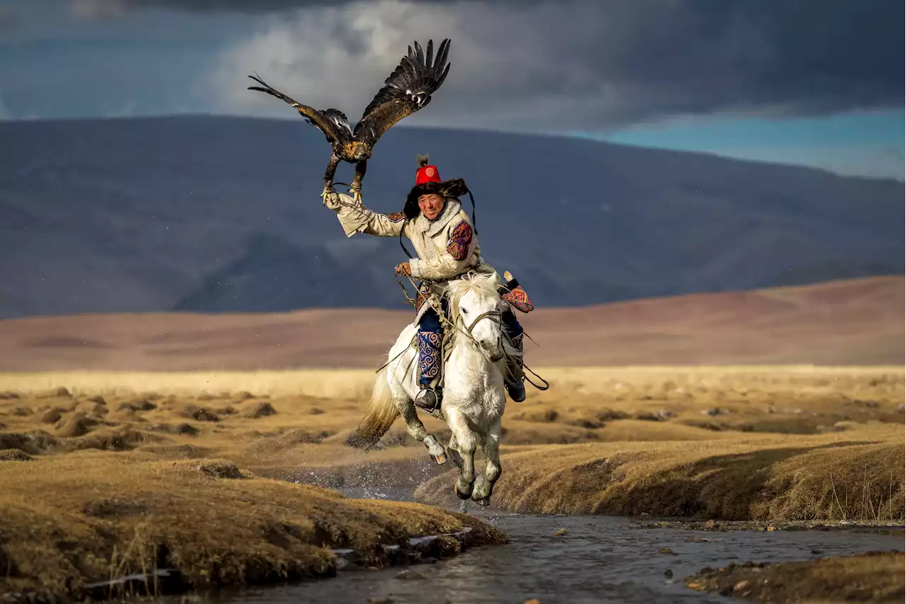 See the Photos That Won National Geographic's ‘Pictures of the Year' Contest