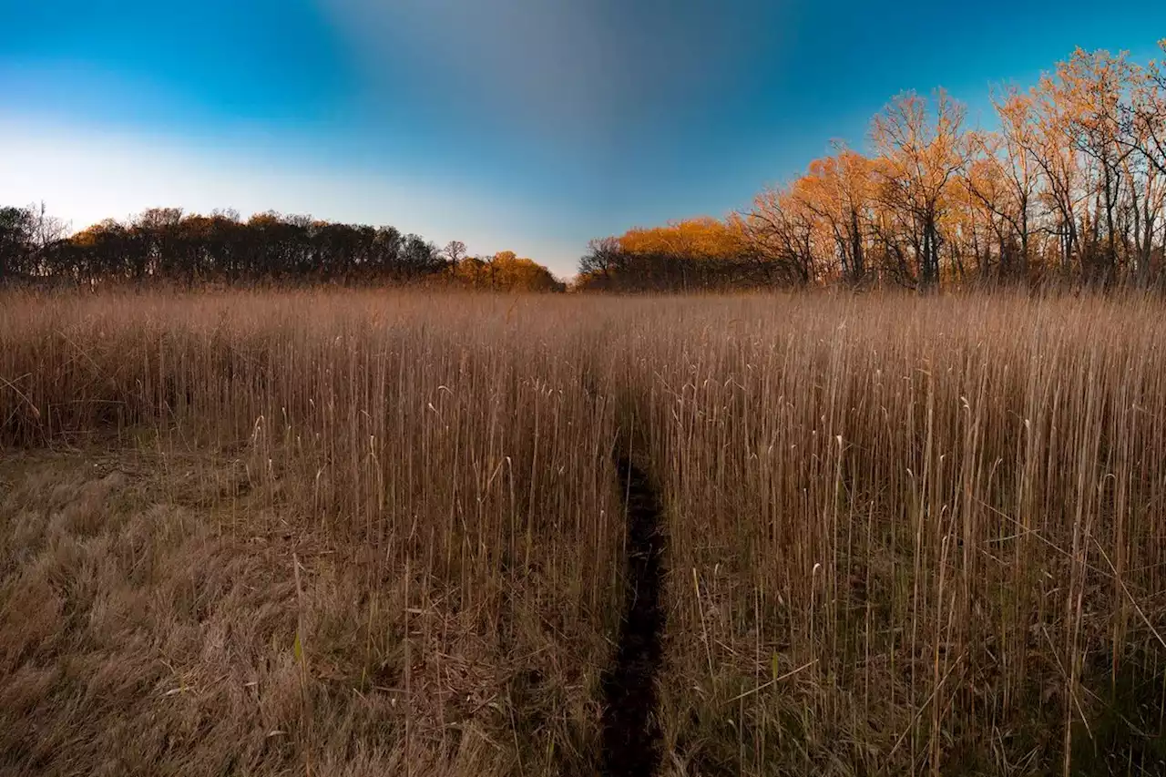 A Landscape Shared by Native Americans and the One Per Cent