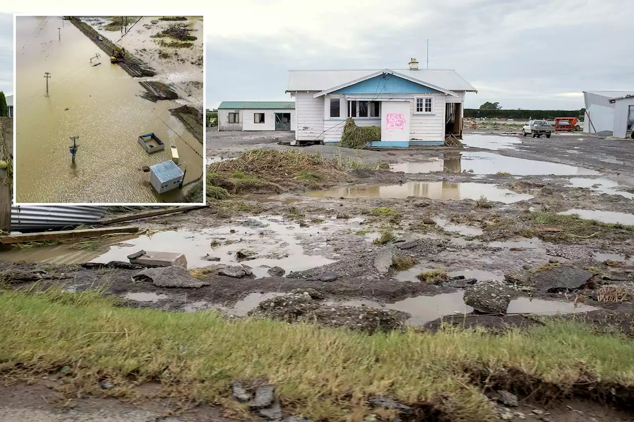 New Zealand cyclone death toll up to 8, expected to rise