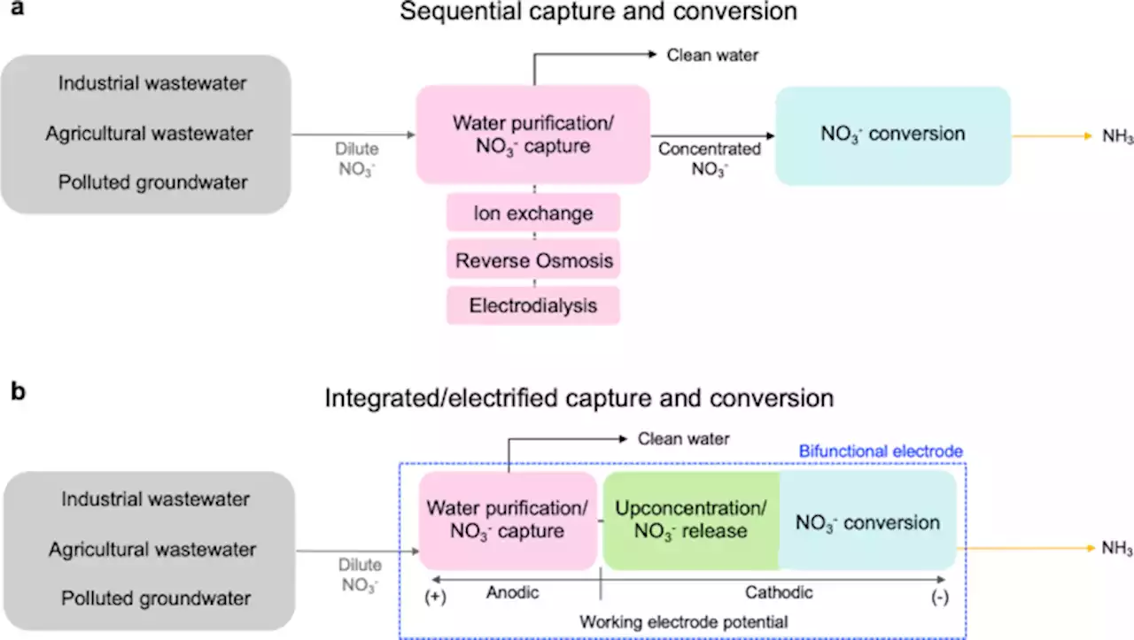 Coupling nitrate capture with ammonia production through bifunctional redox-electrodes - Nature Communications