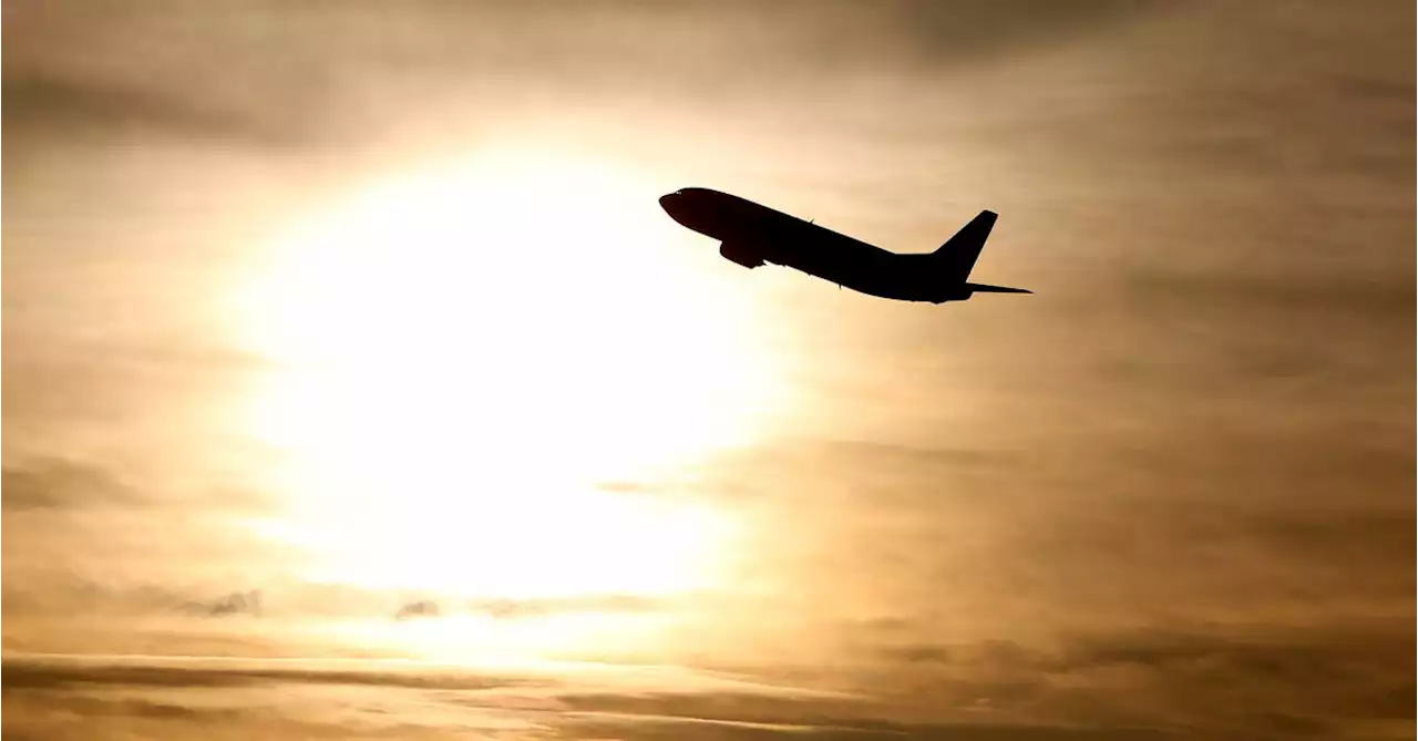 Campaigners urge EU to rethink green investment label for aviation