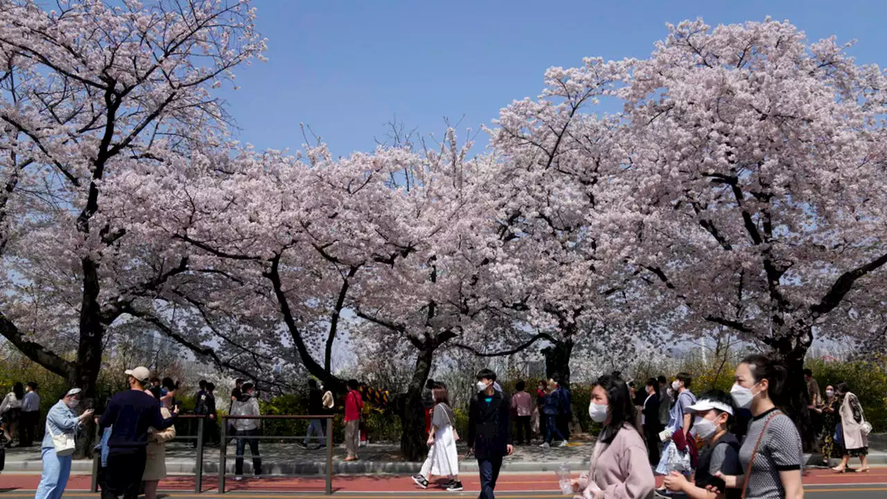 Corée du Sud: le plan d'indemnisation des victimes de la colonisation japonaise loin de faire l’unanimité