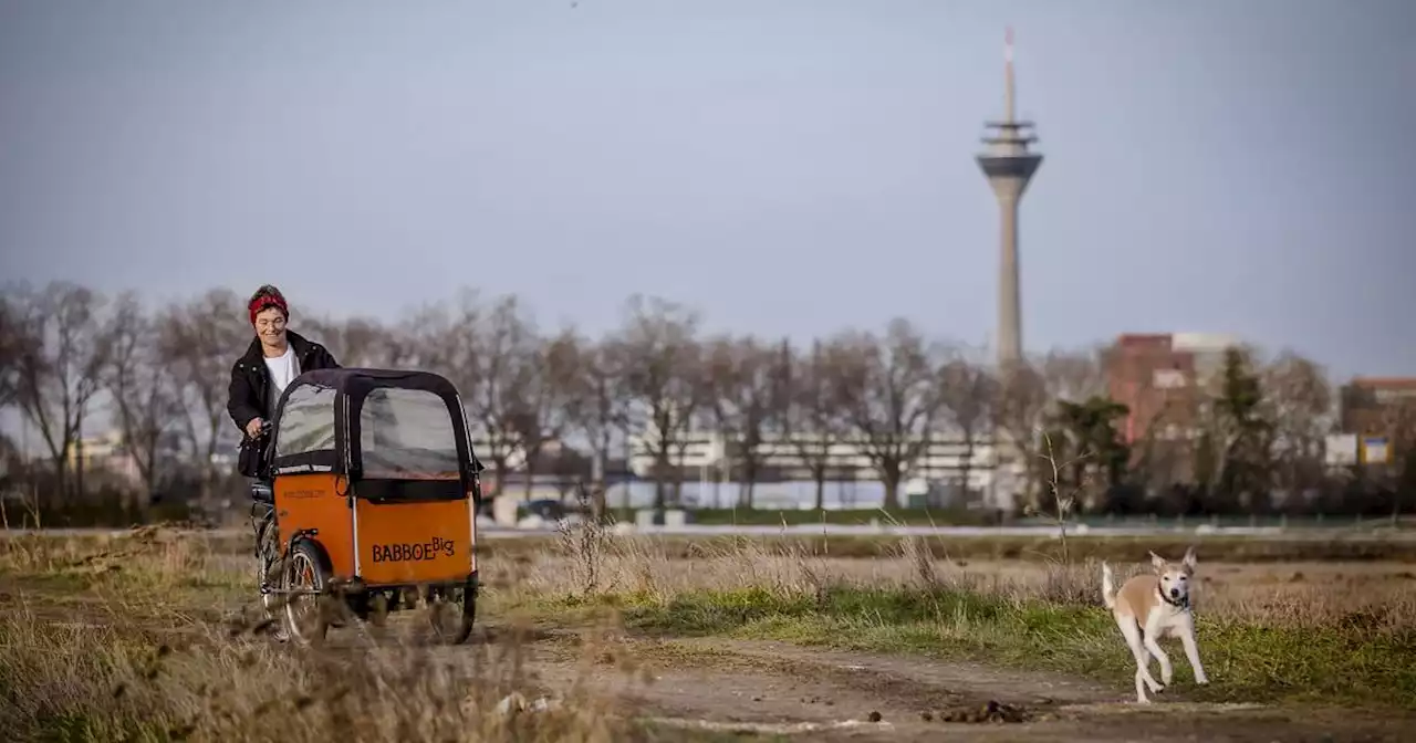 Verkehr in Düsseldorf: Lastenrad-Förderung - so viele Autos wurden abgeschafft