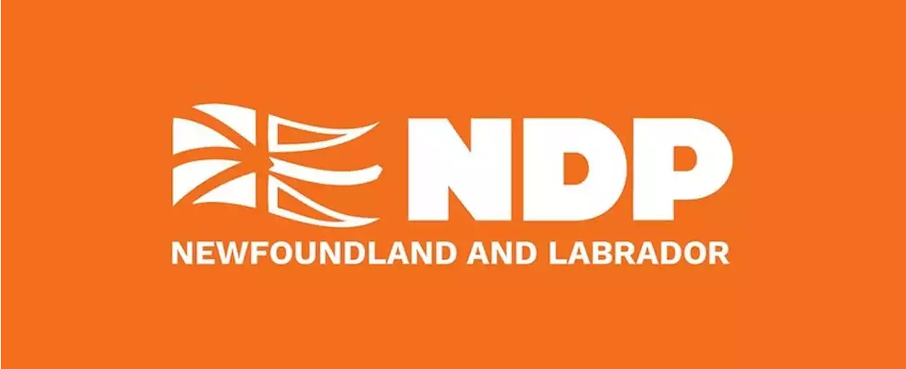 Newfoundland and Labrador NDP open party leadership nominations | SaltWire