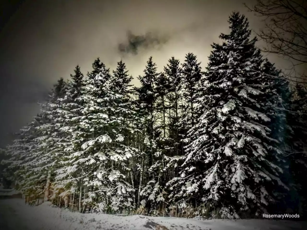 WEATHER PHOTO: Winter wonderland in Cape Breton | SaltWire