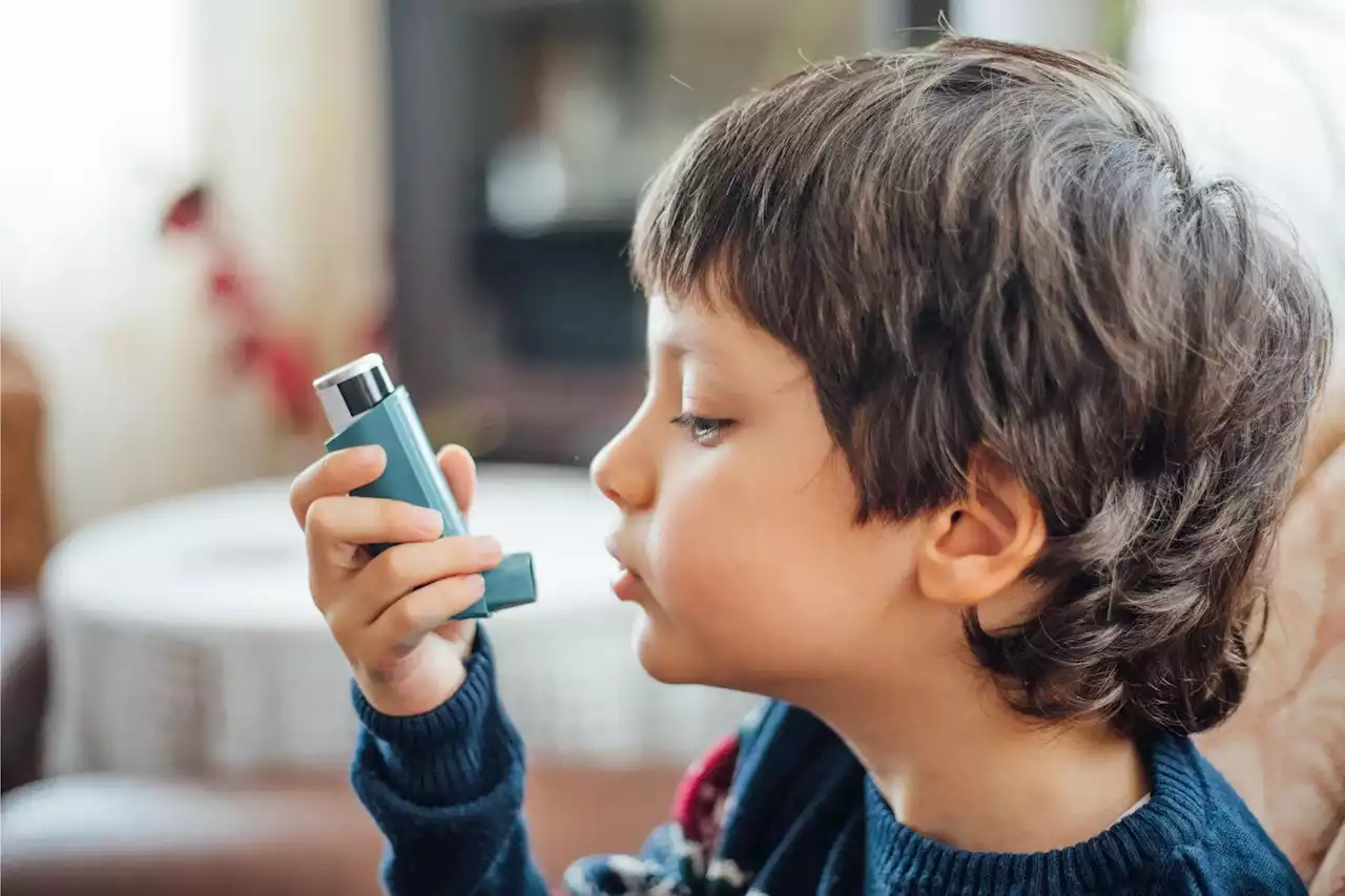 Unlocking the Mystery of Asthma: Study Identifies a Long-Term Treatment Target