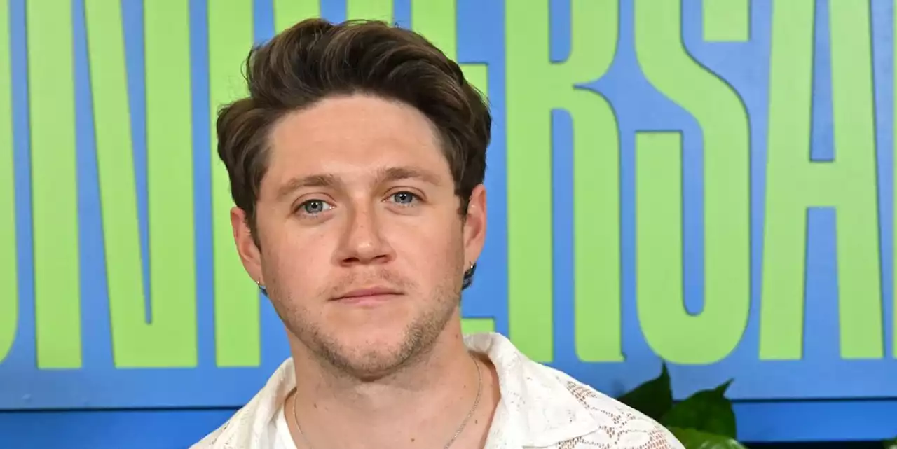 Everything We Know About Niall Horan's Third Studio Album, |i|The Show|/i|