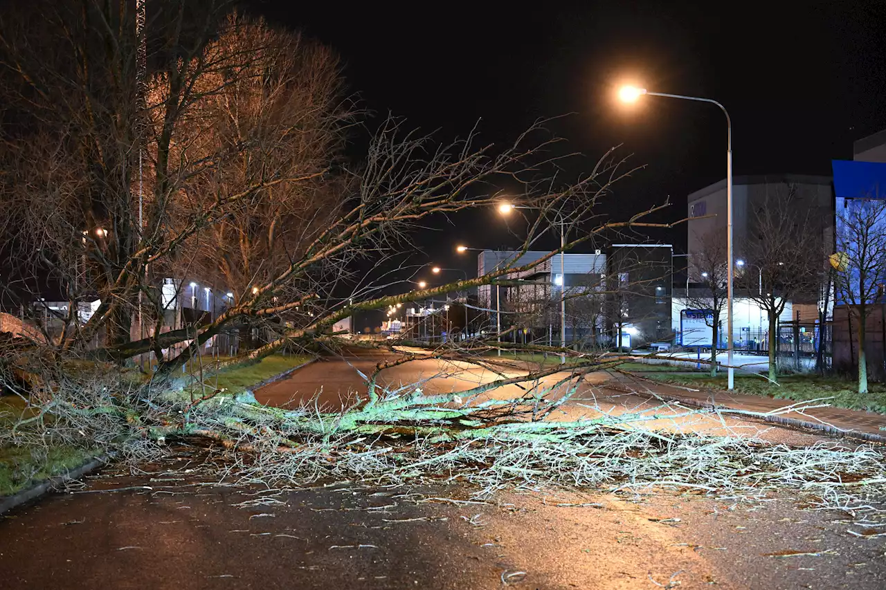 SMHI stormvarnar för Skåne: ”Rejält blåsigt”