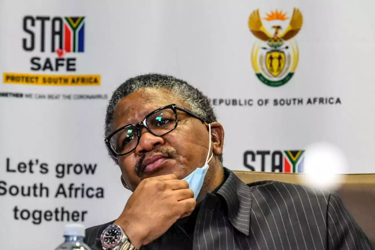 Mbalula 'politically shielded' from Dubai trip prosecution – AfriForum | The Citizen