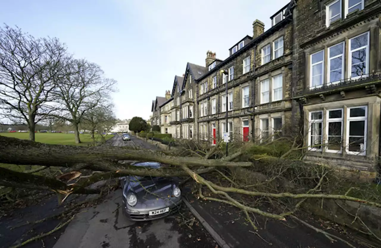 People in parts of Britain warned they could be without power for 48 hours due to Storm Otto